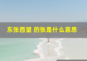 东张西望 的张是什么意思